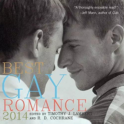 Best Gay Romance 2014