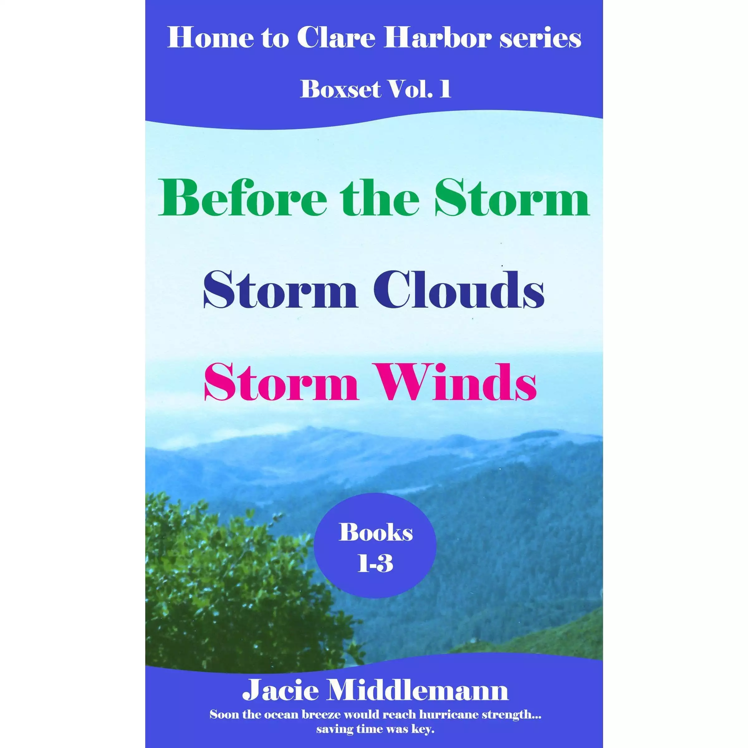 Home to Clare Harbor Boxset (Books 1-3): Before the Storm, Storm Clouds, & Storm Winds. Soon the ocean breeze would reach hurricane strength...saving time was key.