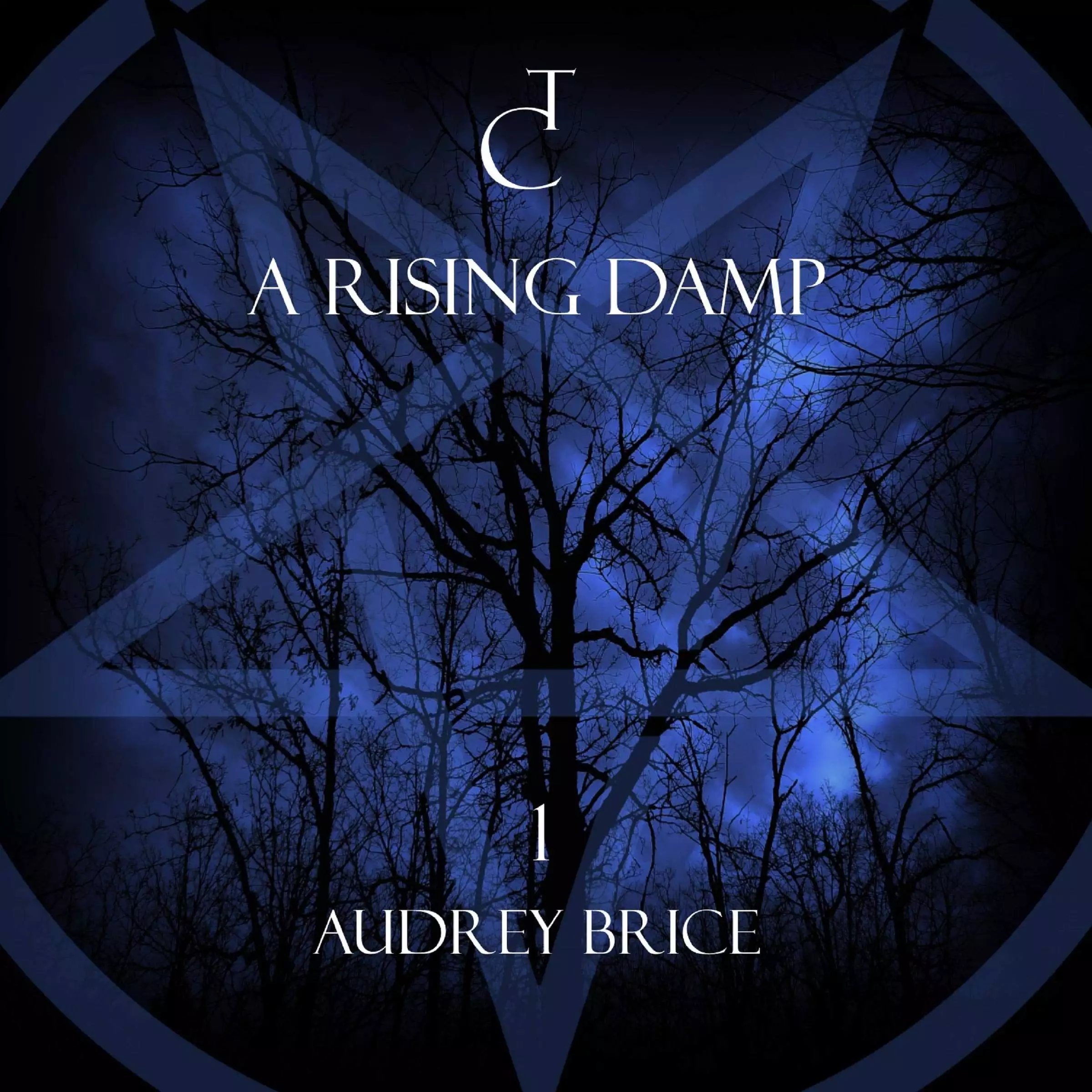 A Rising Damp: Fourteen Tales of Thirteen Covens, Book 1