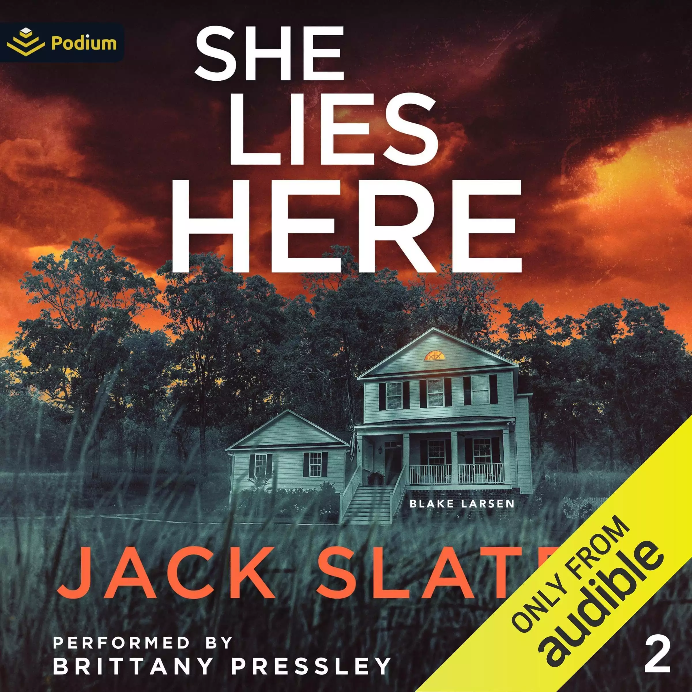 She Lies Here: Blake Larsen, Book 2