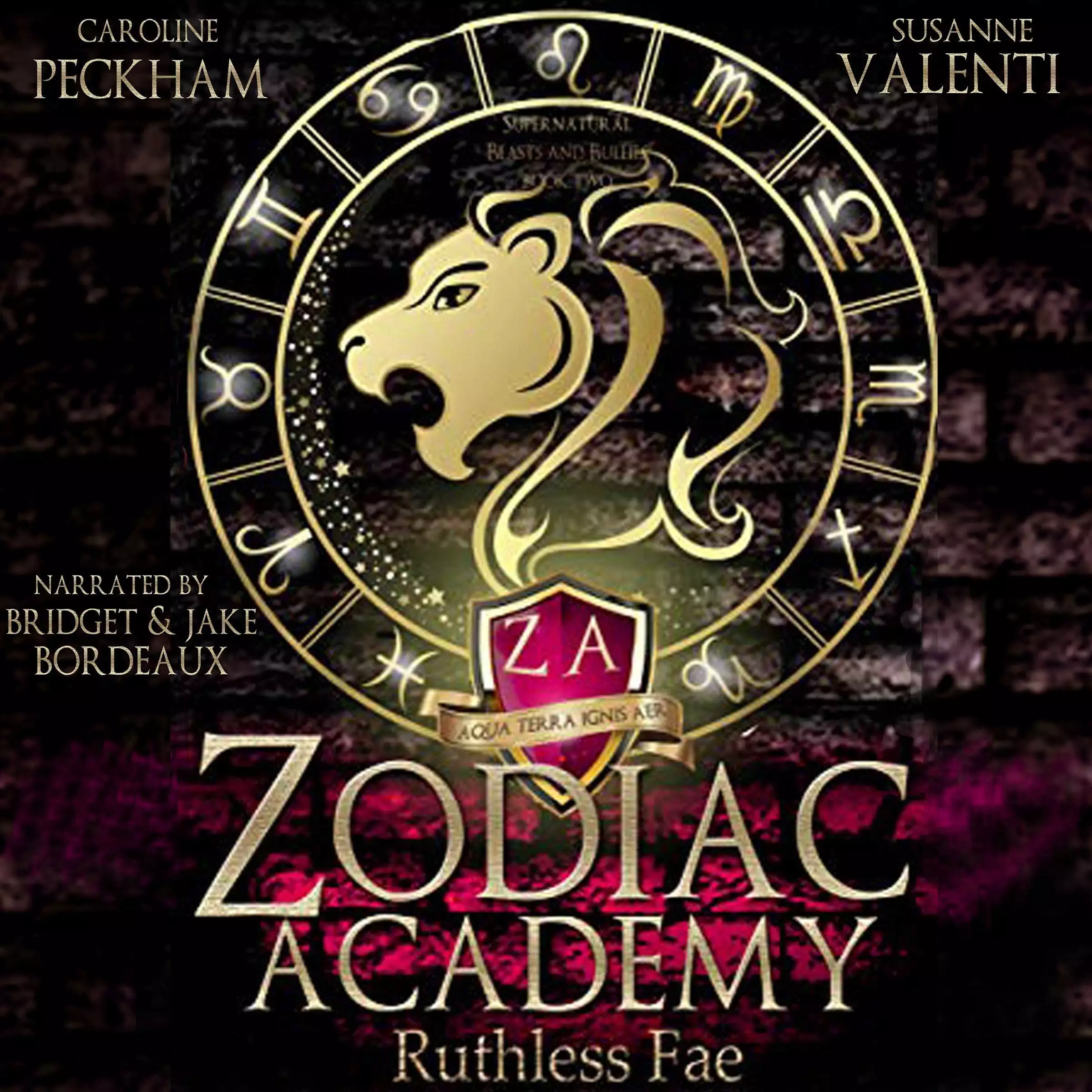 Zodiac Academy 2: Ruthless Fae