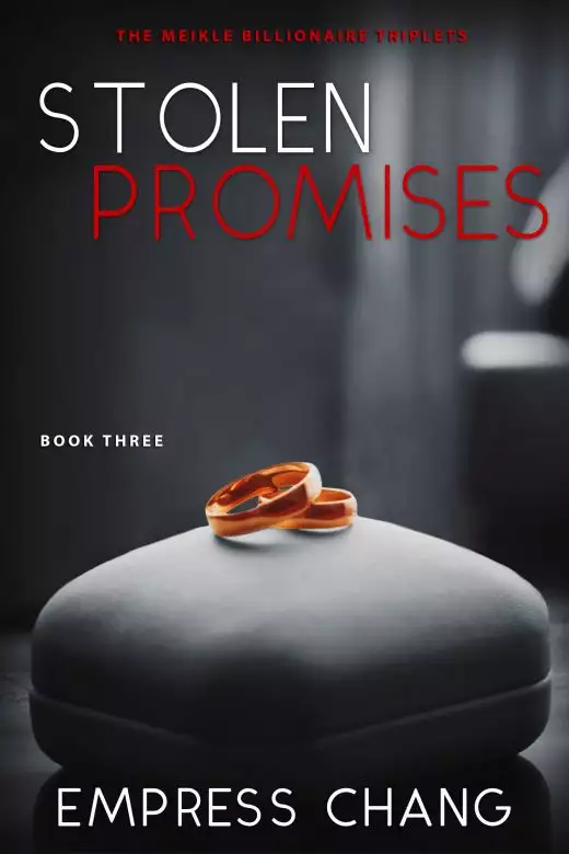 Stolen Promises (The Billionaire Triplets Book Three)