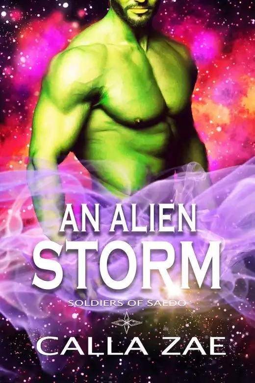 An Alien Storm: A Sci-fi Romance