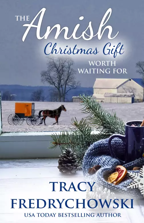 The Amish Christmas Gift Worth Waiting For (Novella)