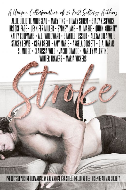 Stroke: An Enemies to Lovers, Billionaire Office Romance Collaboration from Twenty Four Authors