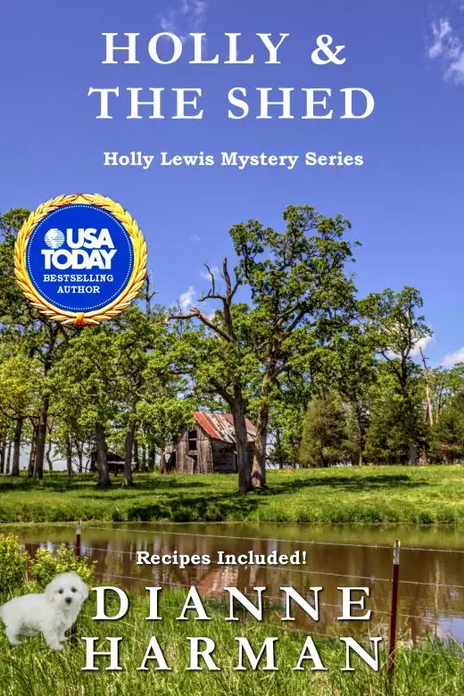 Holly & the Shed: A Holly Lewis Mystery