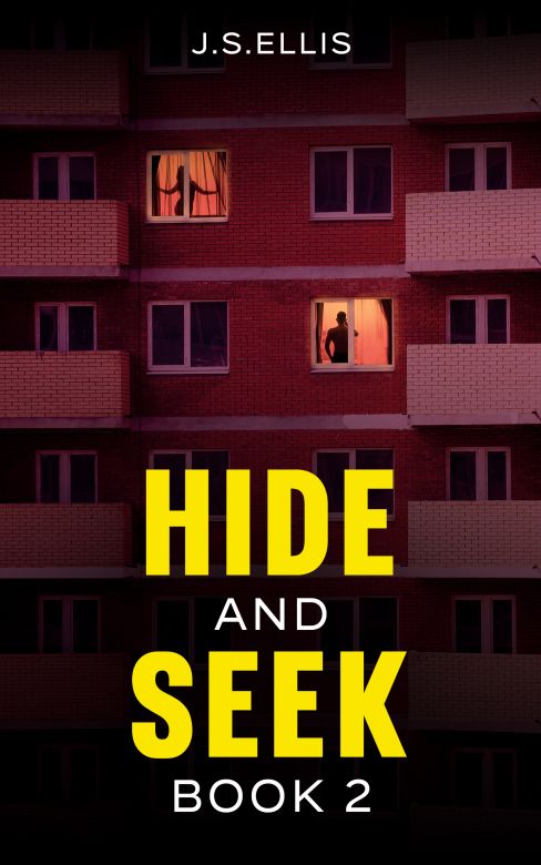 Hide and Seek Book 2