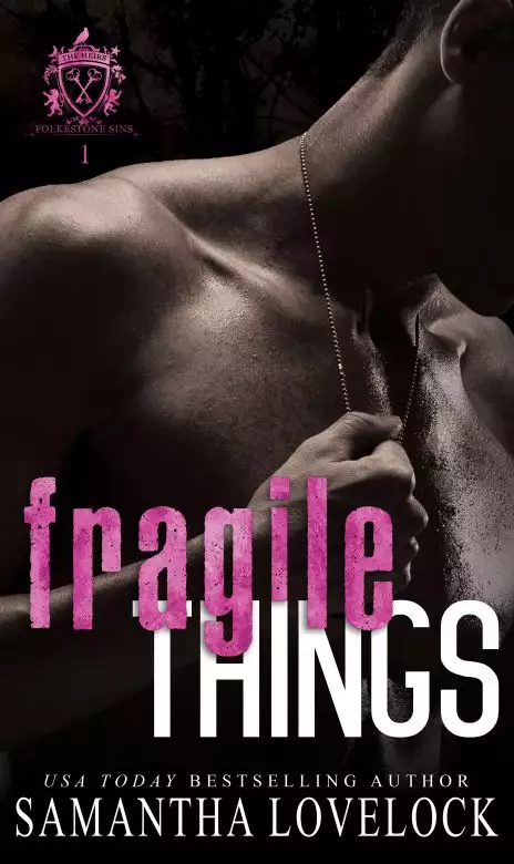 Fragile Things: A New Adult Romantic Suspense