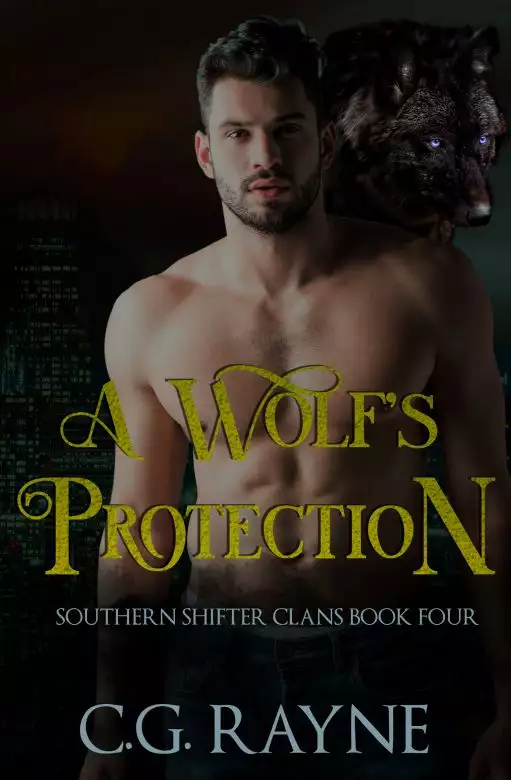 A Wolf's Protection: An MM Paranormal Romance