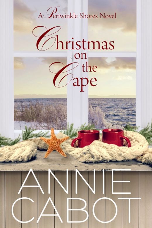 Christmas on the Cape by Annie Cabot