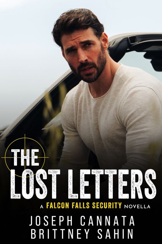 The Lost Letters: A Falcon Falls Security Novella