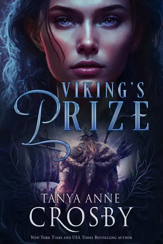 Viking's Prize: A Medieval Romance
