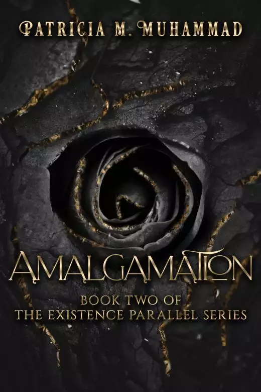 Amalgamation:  Book Two of The Existence Parallel Series