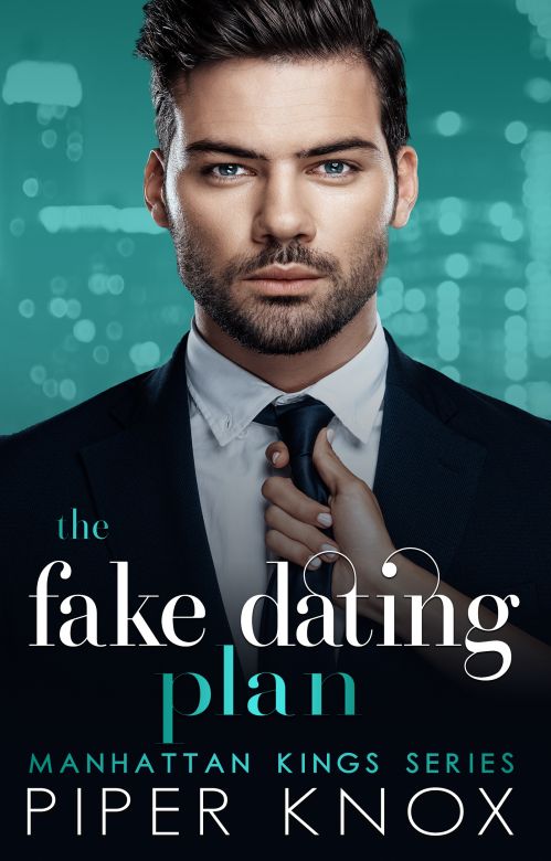 The Fake Dating Plan: An Enemies to Lovers Office Romance