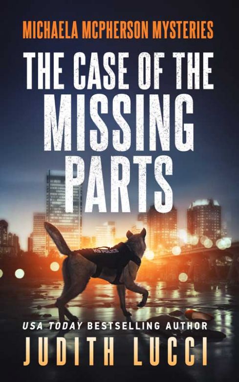 The Case of the Missing Parts