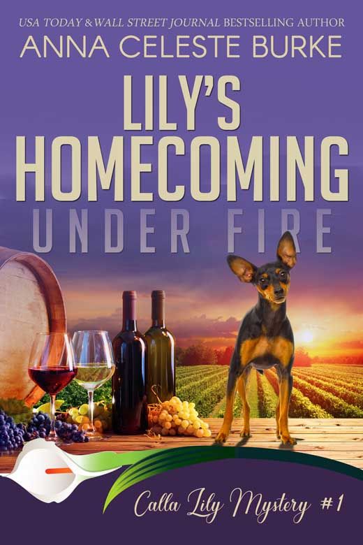 Lily's Homecoming Under Fire