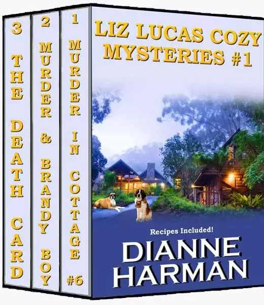 Liz Lucas Cozy Mysteries #1