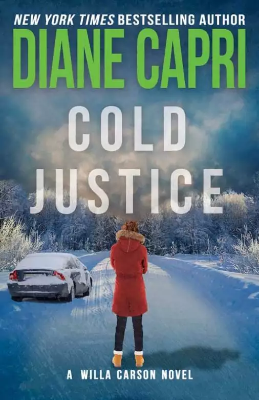 Cold Justice: A Judge Willa Carson Mystery