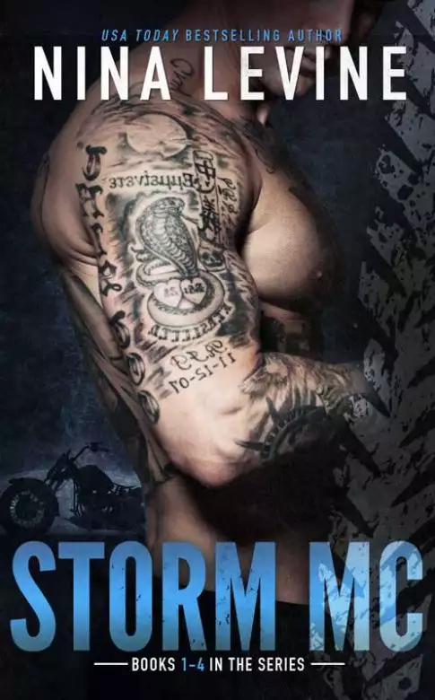 Storm MC Collection Books 1 - 4