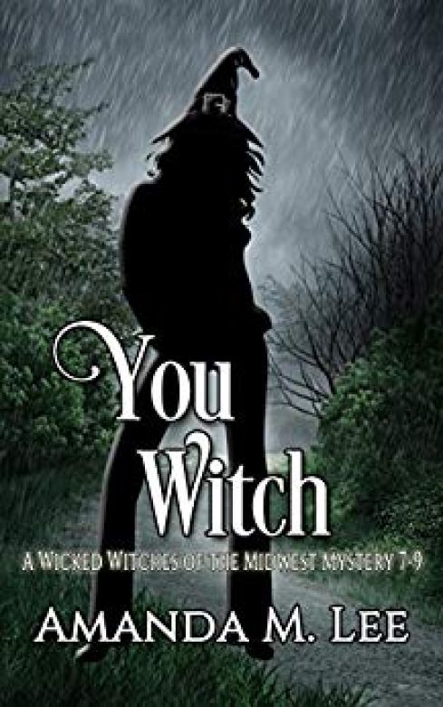 You Witch: A Wicked Witches of the Midwest Mystery Books 7-9