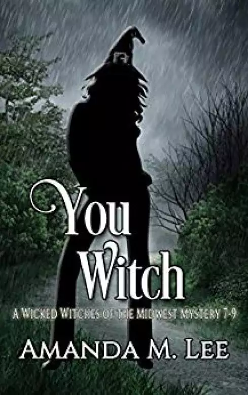 You Witch: A Wicked Witches of the Midwest Mystery Books 7-9