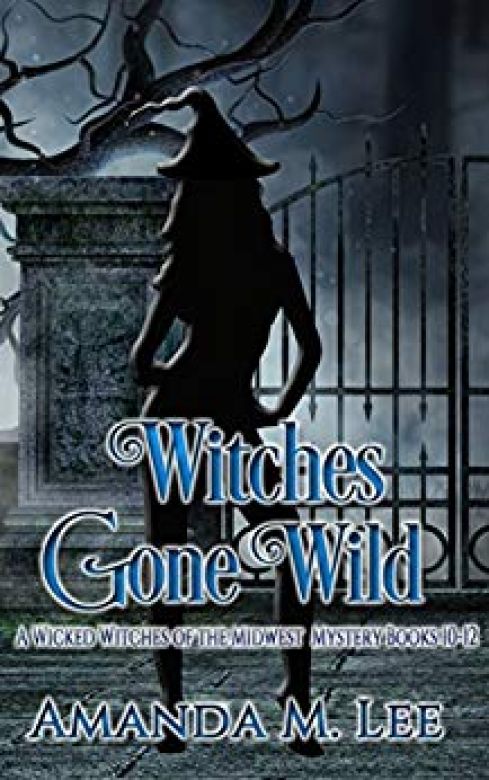 Witches Gone Wild: A Wicked Witches of the Midwest Mystery Books 10-12