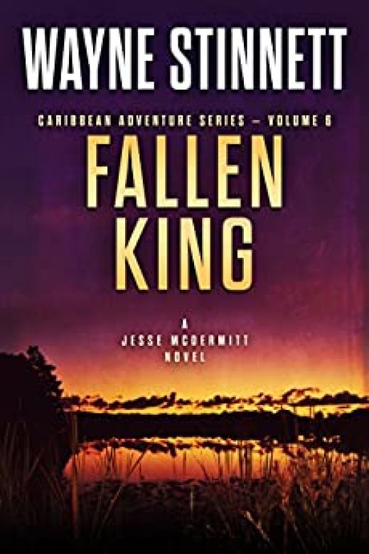 Fallen King: : A Jesse McDermitt Novel