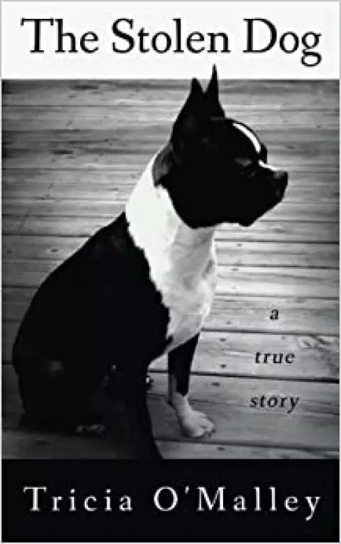The Stolen Dog by Tricia O'Malley