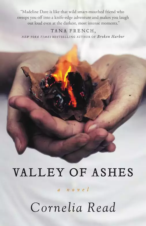 Valley of Ashes