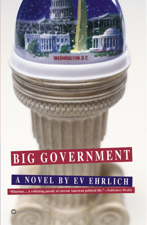 Big Government