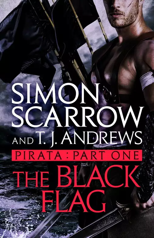 Pirata: The Black Flag