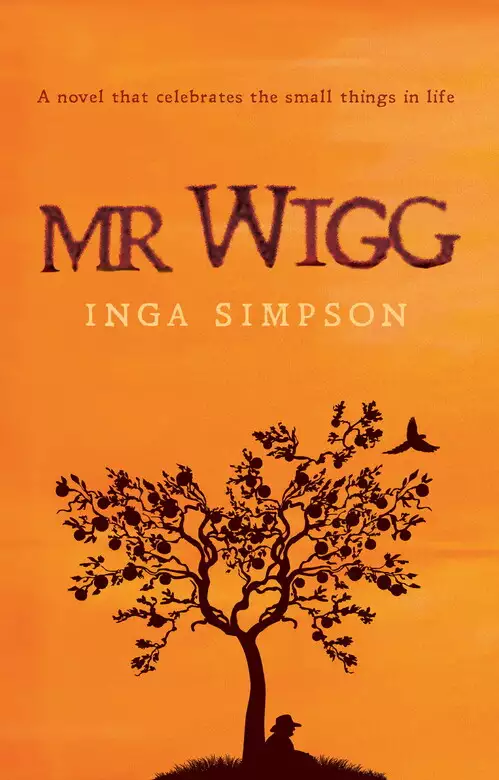 Mr Wigg