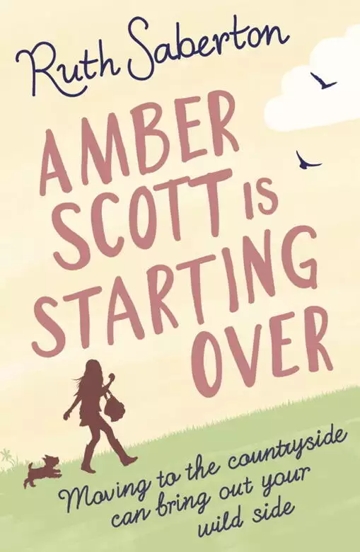 Amber Scott is Starting Over