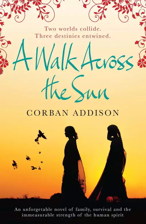 A Walk Across The Sun