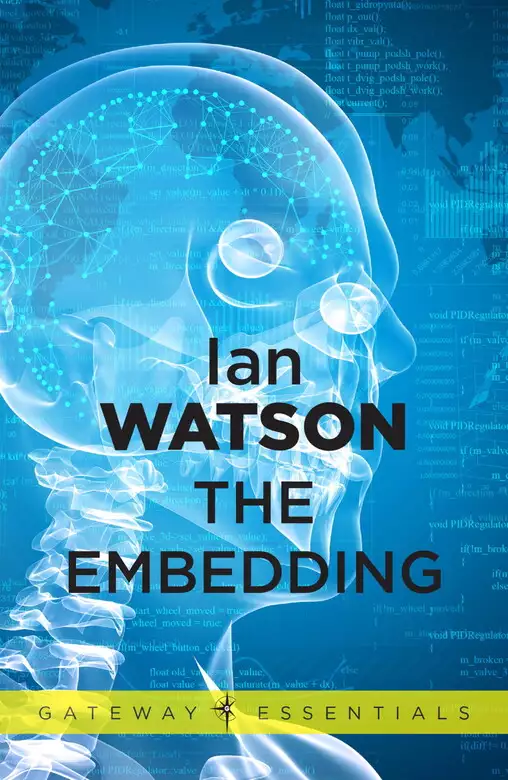 The Embedding