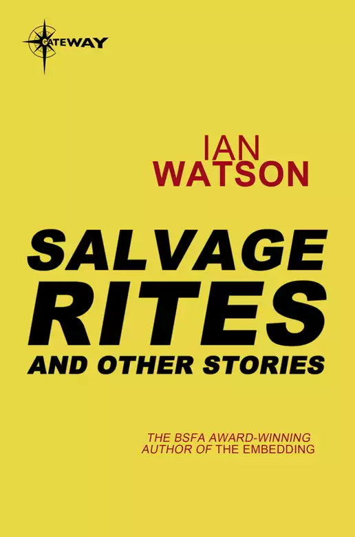 Salvage Rites: And Other Stories