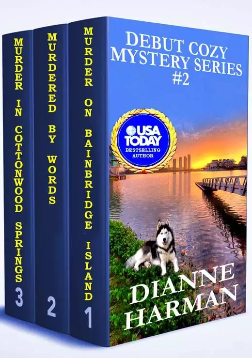 Debut Cozy Mystery Series #2