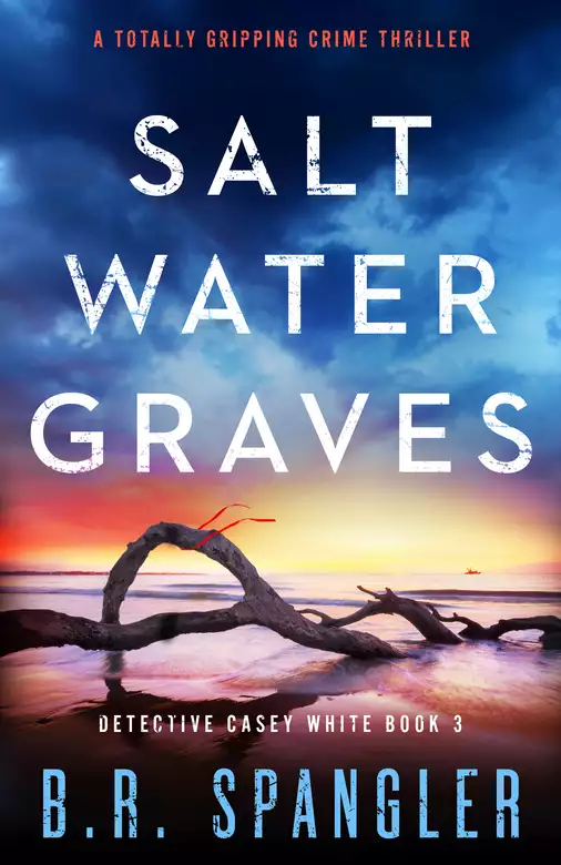 Saltwater Graves: A totally gripping crime thriller