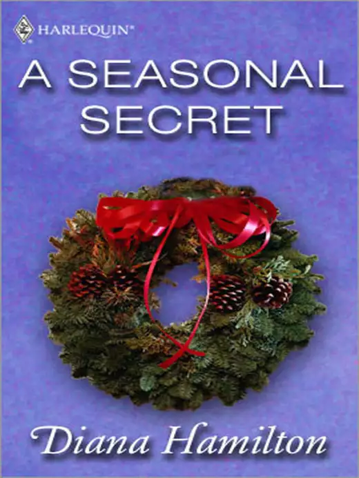 A Seasonal Secret