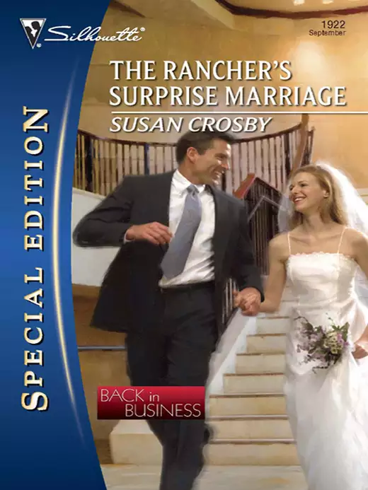 The Rancher's Surprise Marriage