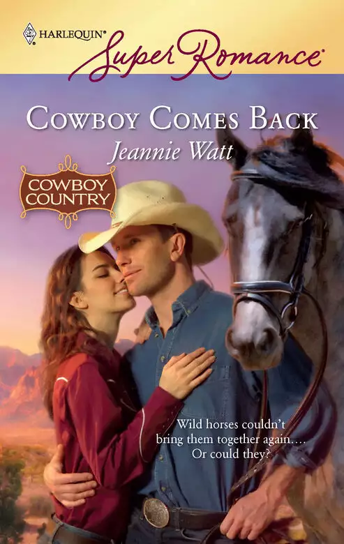 Cowboy Comes Back