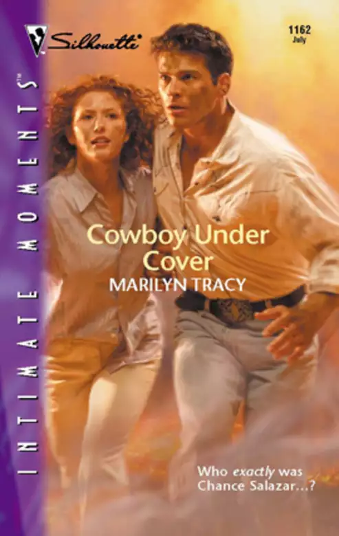 Cowboy Under Cover