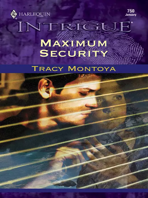 MAXIMUM SECURITY