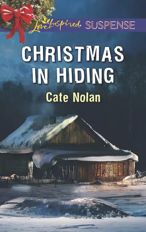 Christmas in Hiding