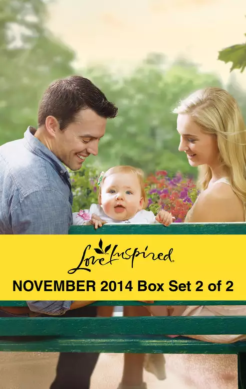 Love Inspired November 2014 - Box Set 2 of 2