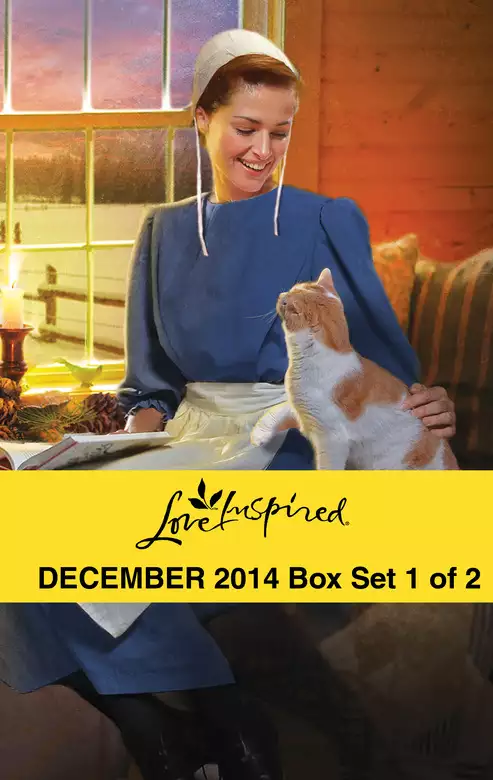 Love Inspired December 2014 - Box Set 1 of 2