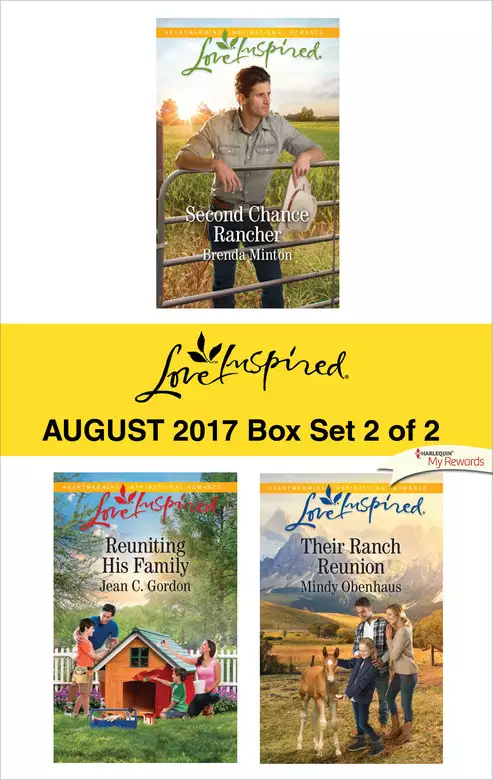 Harlequin Love Inspired August 2017 - Box Set 2 of 2