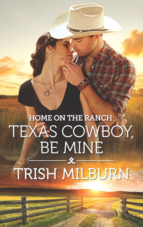 Home on the Ranch: Texas Cowboy, Be Mine