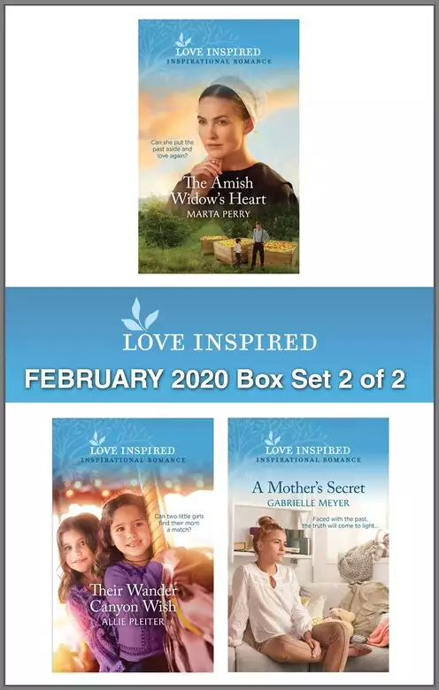 Harlequin Love Inspired February 2020 - Box Set 2 of 2