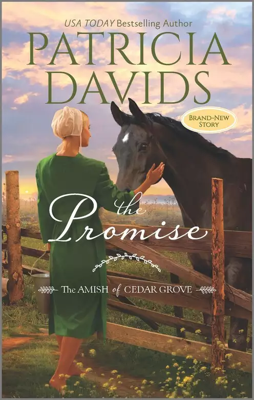 The Promise